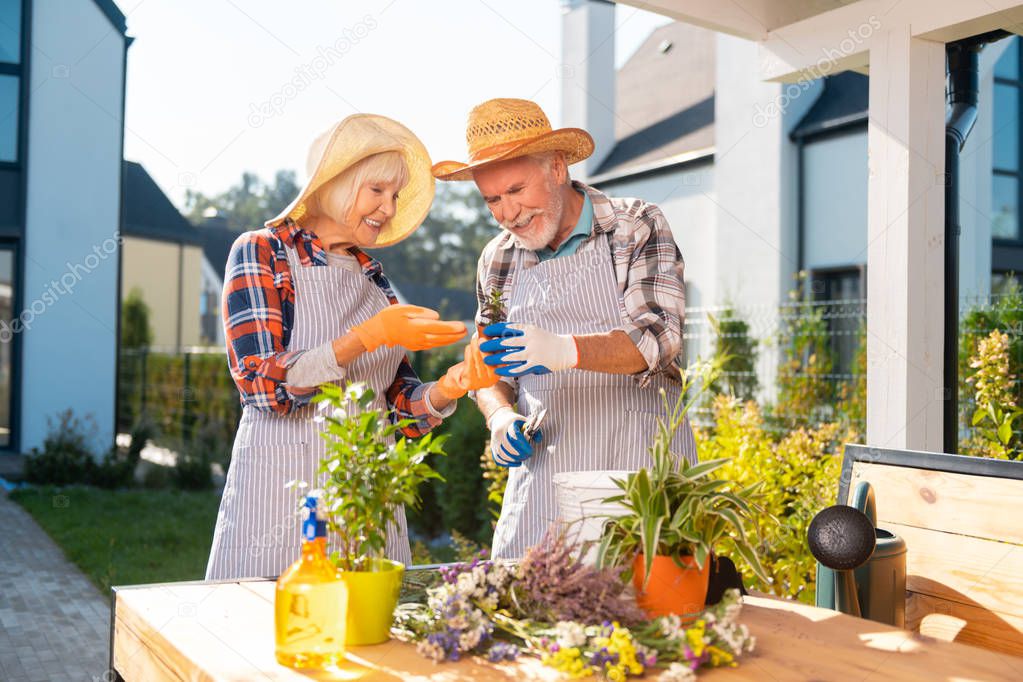 Cheerful nice retired couple working together outside