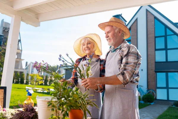 Зрелый мужчина и женщина в полосатых фартуках заботятся о цветах и растениях — стоковое фото