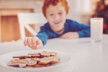 Çerez plaka üzerinde ulaşan neşeli Kızıl saçlı çocuk