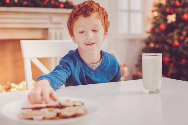 Приємний хлопчик бере імбирне печиво з тарілки — стокове фото