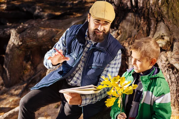Agradable hombre positivo explicando a su hijo sobre la naturaleza — Foto de Stock