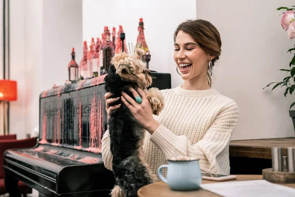 Mujer es feliz jugando con su pequeño perro —  Fotos de Stock