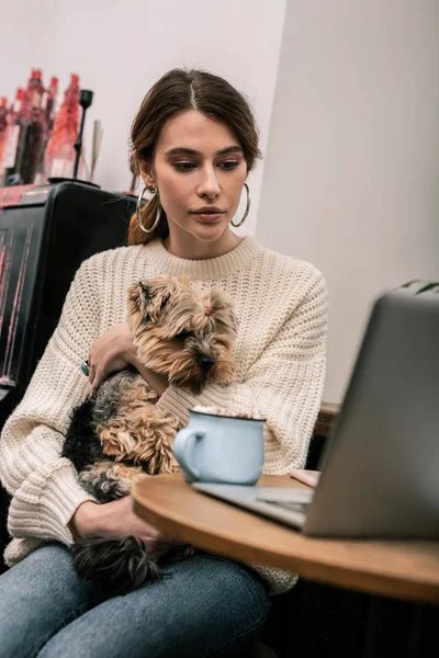 Сконцентрированная женщина с собакой, смотрящая на экран ноутбука — стоковое фото