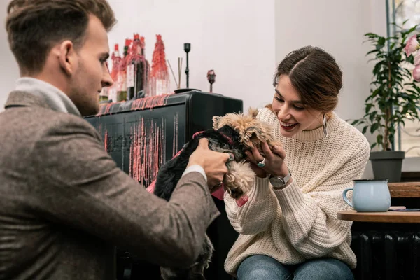 女と男の持株の小型犬 — ストック写真