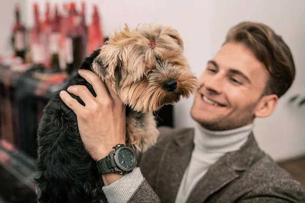 Terrier engraçado sentado em suas mãos proprietários — Fotografia de Stock