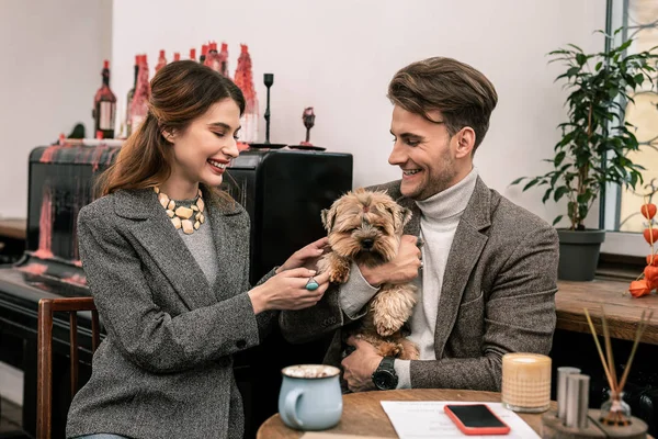 Woman touching a paw of her boyfriends dog — Stock Photo, Image