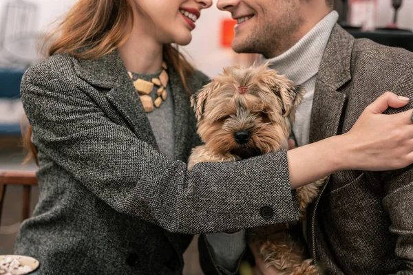 Yorkshire terrier sitting in hands of its hugging owners — Stock Photo, Image