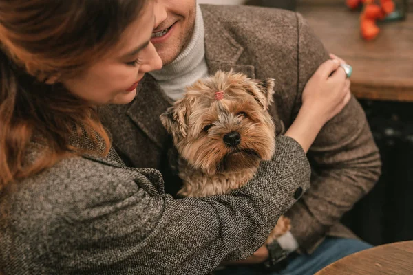 Чоловік і жінка обіймають собаку — стокове фото