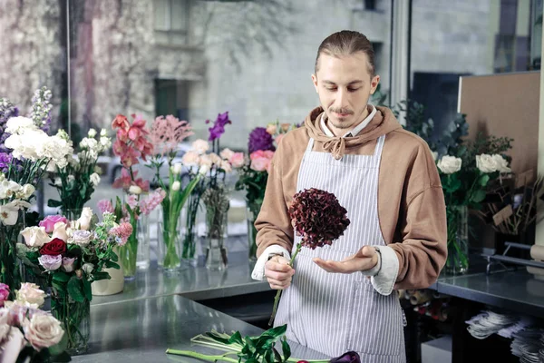 Hombre joven atento que trabaja en la tienda de flores — Foto de Stock