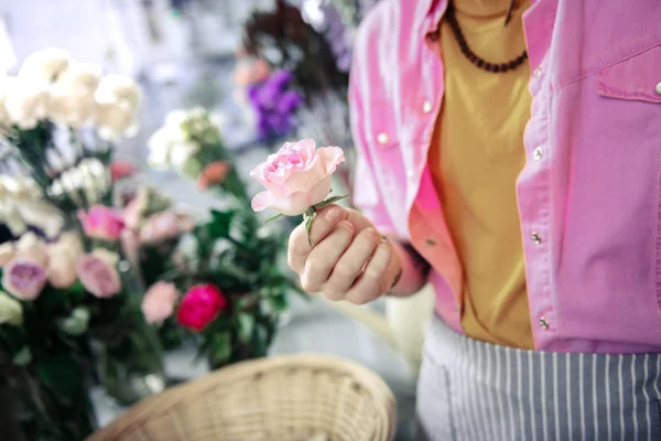 Close up de mão masculina segurando rosa — Fotografia de Stock
