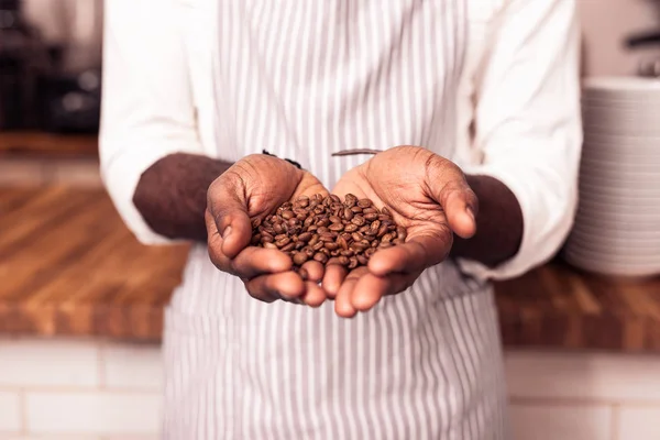 Nice professional barista holding roasted coffee beans — Stock Photo, Image