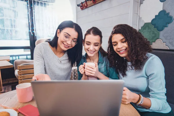 Belgili tanımlık laptop önünde oturan olumlu mutlu kadın — Stok fotoğraf