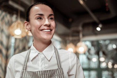 Rüya gibi garson onun iş günü sırasında pozitif ifade