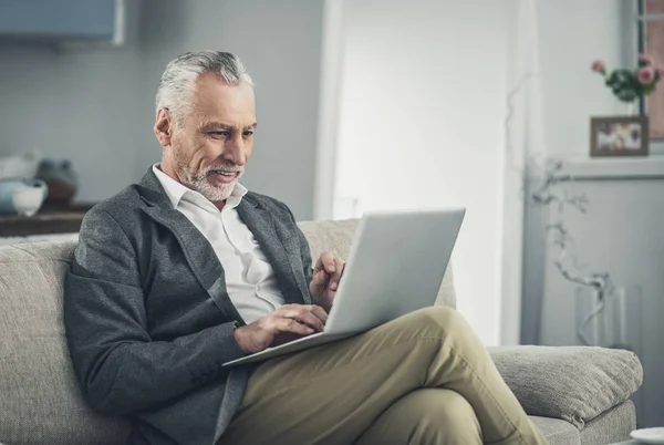 Experienced businessman. Prosperous experienced handsome businessman wearing stylish grey jacket working on laptop