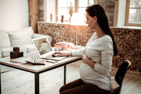 Professional smart businesswoman working on the laptop — Stock Photo, Image