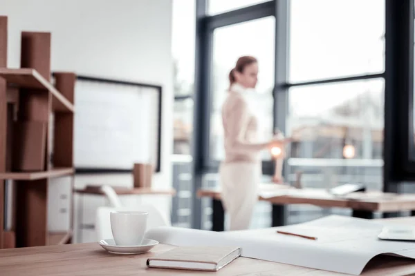 Respetuoso joven director corporativo ocupado preparándose para la reunión de oficina — Foto de Stock