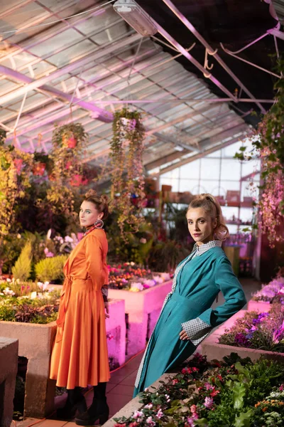 Prachtige mooie vrouwen wordt in de serre — Stockfoto