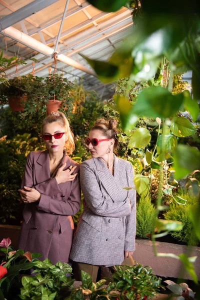 Prachtige mooie vrouwelijke ondernemers die permanent in de kas — Stockfoto