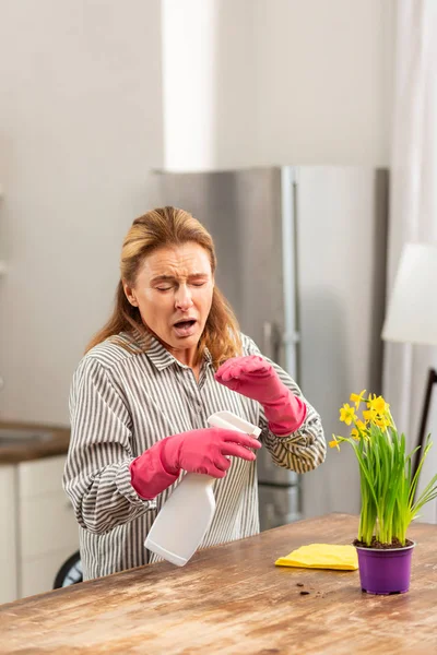 Empresaria limpiando la cocina el fin de semana estornudando —  Fotos de Stock