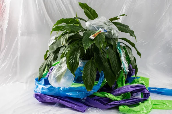 Beautiful green healthy plant being surrounded with plastic products — Stock Photo, Image