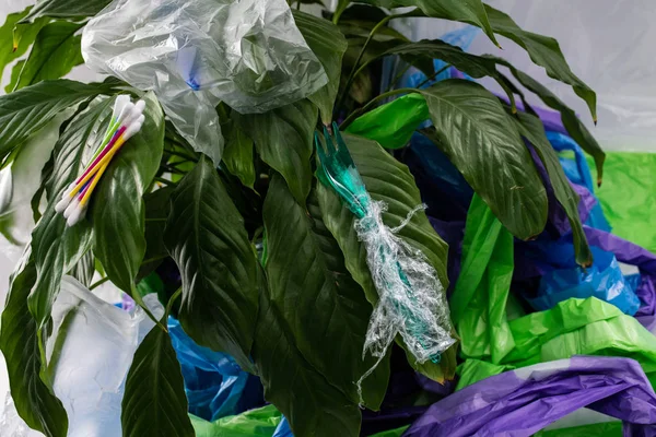 Threaten green plant attacked with harmful plastic products — Stock Photo, Image