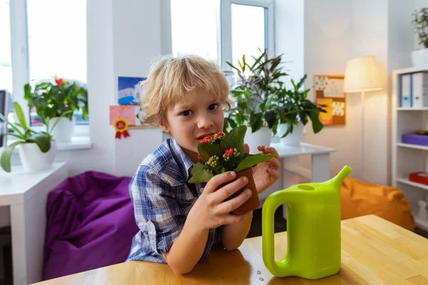 Niño de pie cerca de la mesa con la olla de riego sosteniendo flores rojas — Foto de Stock