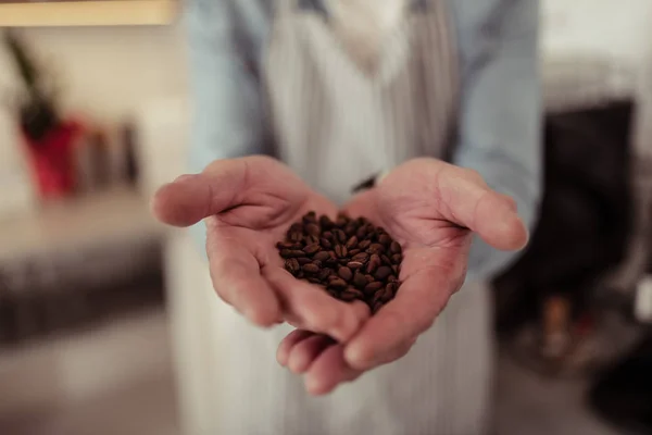 High-quality coffee beans in hands of a barista. — Stock Photo, Image