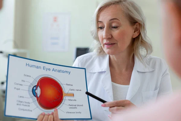 Médico atento de cabelos curtos apontando para esquema com anatomia dos olhos — Fotografia de Stock