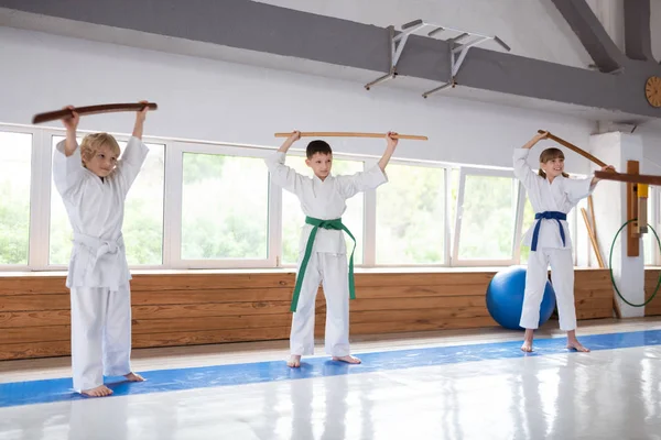 İki erkek ve bir kız aikido hareketleri öğrenme üniforma giyiyor — Stok fotoğraf