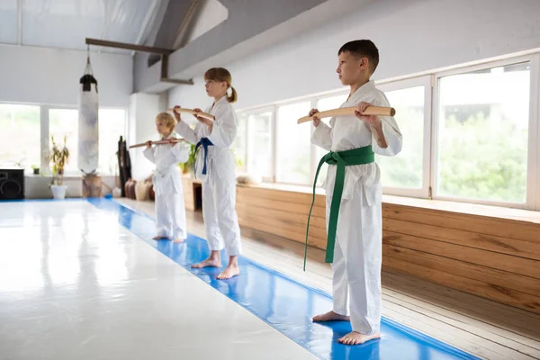 Jungen und Mädchen stehen am Fenster und haben Aikido-Unterricht — Stockfoto