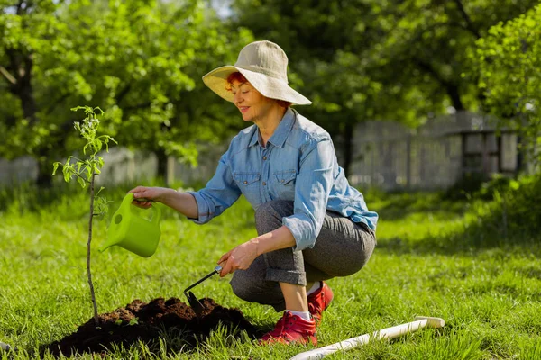 Bella donna in pensione irrigazione piccolo albero dopo aver scavato terreno — Foto Stock