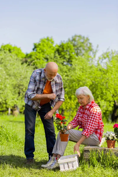 El esposo y la esposa jubilados disfrutan del tiempo mientras cuidan de las flores — Foto de Stock