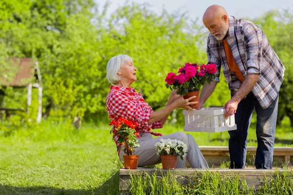 Barbudo marido ayudando a su hermosa esposa cuidando de las flores — Foto de Stock