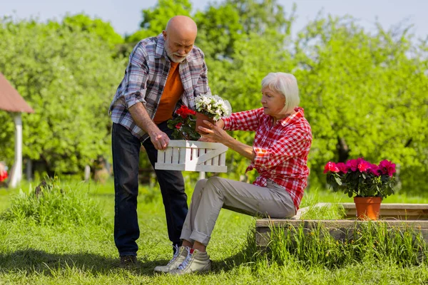 Esposo jubilado y esposa poniendo macetas de flores en la caja blanca — Foto de Stock