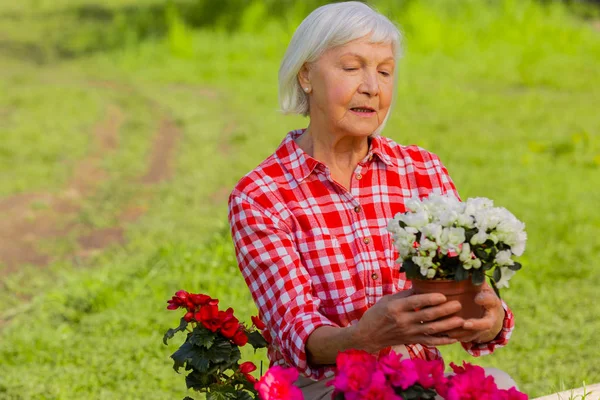 Mulher envelhecida de cabelos grisalhos segurando pequeno pote com flores brancas — Fotografia de Stock