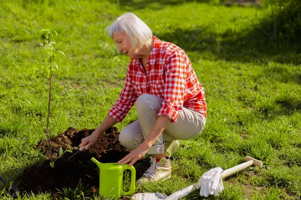 Συνταξιούχος γυναίκα σκάβει έδαφος μετά φυτεύοντας δέντρο — Φωτογραφία Αρχείου