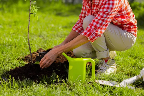 Primer plano de las manos hembras cavando terreno después de regar el árbol — Foto de Stock