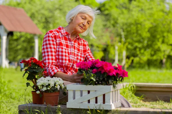 Schöne Rentnerin, die in einem Häuschen lebt und ihre Blumen betrachtet — Stockfoto