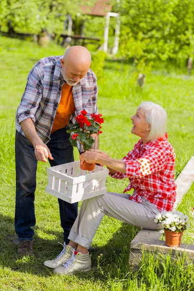 Esposa sintiéndose feliz cuidando de las flores con el marido — Foto de Stock