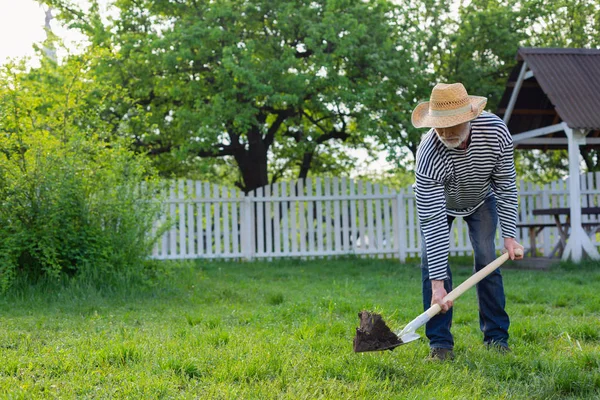 Hombre de pelo gris con sombrero de paja y camisa a rayas excavando tierra — Foto de Stock