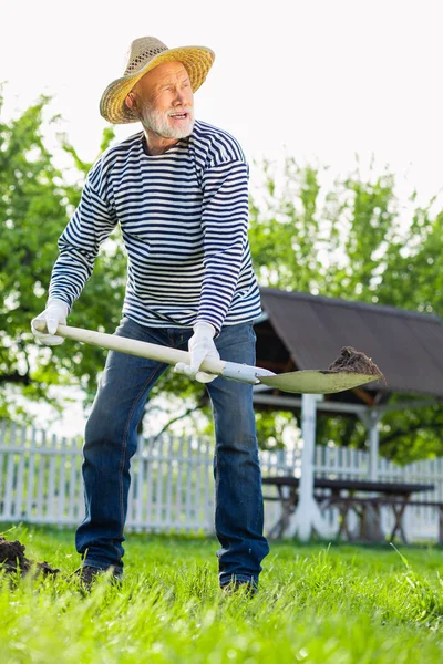 Grey-haired man in straw hat using shovel while digging ground