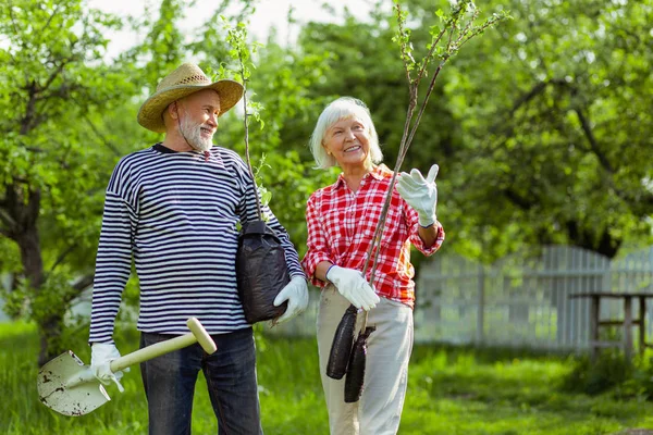 Amante esposa sonriendo mientras plantando árboles junto con el marido — Foto de Stock