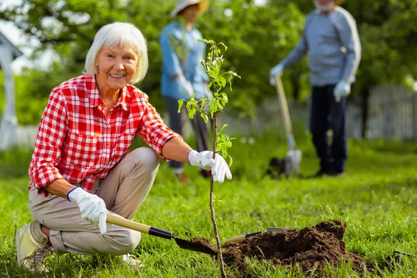 Preciosa mujer jubilada sonriendo mientras planta un árbol cerca de amigos — Foto de Stock