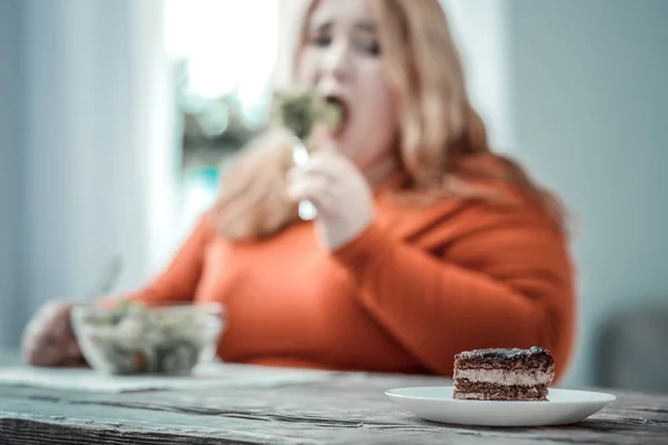 Fokussiertes Foto von Kuchen, der auf dem Teller liegt — Stockfoto