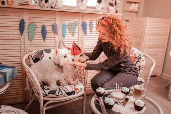 Roodharige krullend vrouw zetten verjaardag hoed op haar honden — Stockfoto