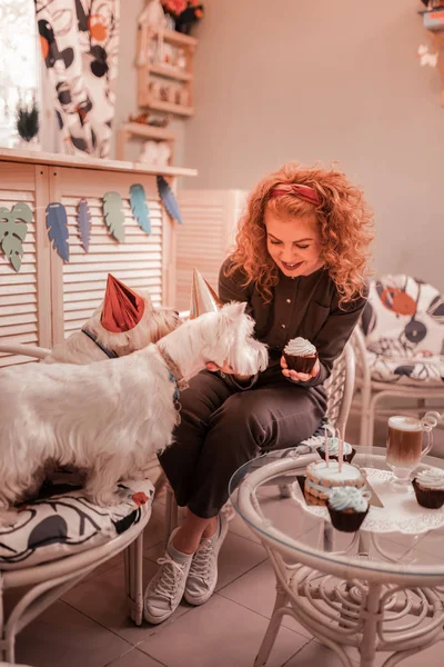 Vöröshajú, göndör asszony ünnepli születésnapját a kutyái — Stock Fotó