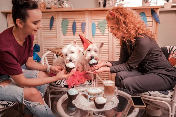 Las mujeres sonrientes dando cupcakes para sus perros de cumpleaños —  Fotos de Stock