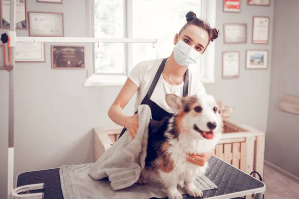 Mulher de olhos escuros vestindo uniforme de pé perto da mesa com o cão — Fotografia de Stock