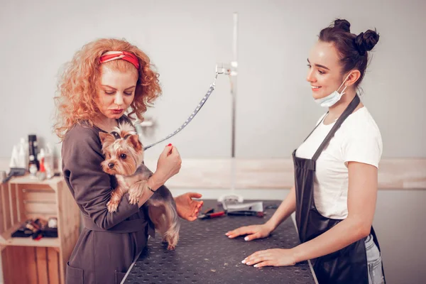 Femme prenant son chien mignon à la maison du salon — Photo