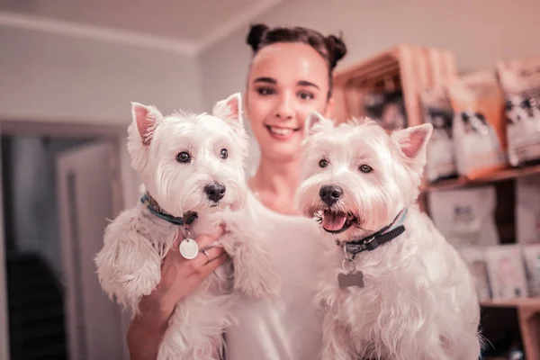 Mujer sonriendo mientras pasa tiempo con sus lindos perros —  Fotos de Stock